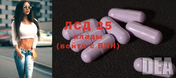 прущие грибы Армянск