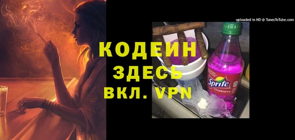 прущие грибы Армянск