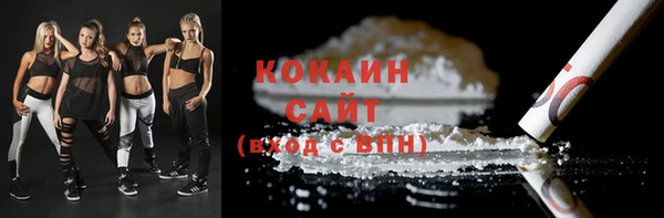 ешки Арсеньев