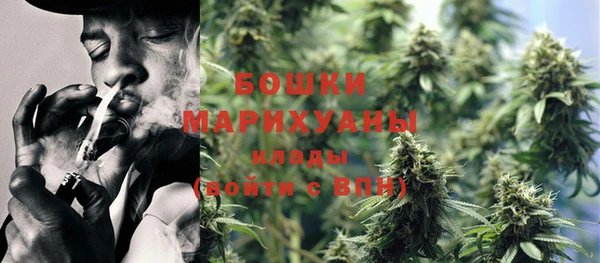 прущие грибы Армянск