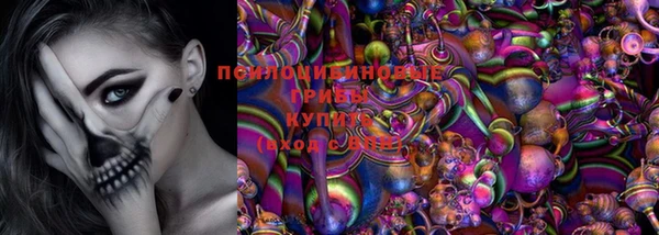 ешки Арсеньев