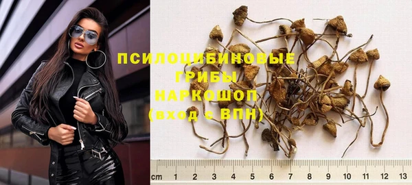 каннабис Аркадак