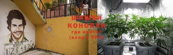 каннабис Аркадак